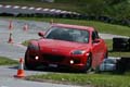 IMG_2942 (Large)