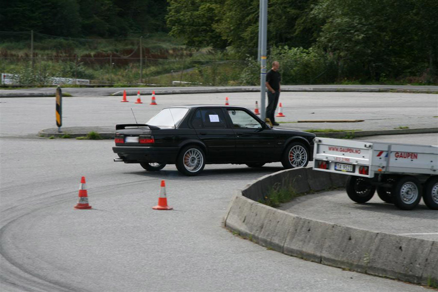 IMG_3814 (Large)
