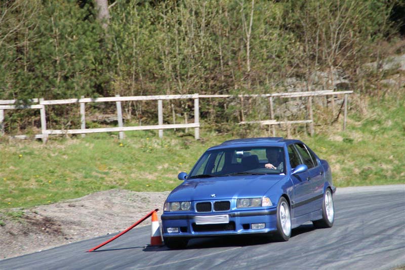 IMG_0927 (Large)