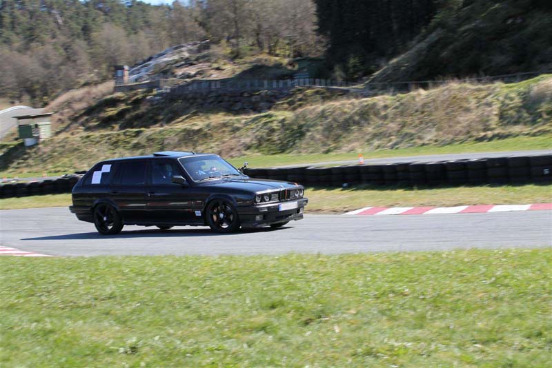 IMG_0937 (Large)