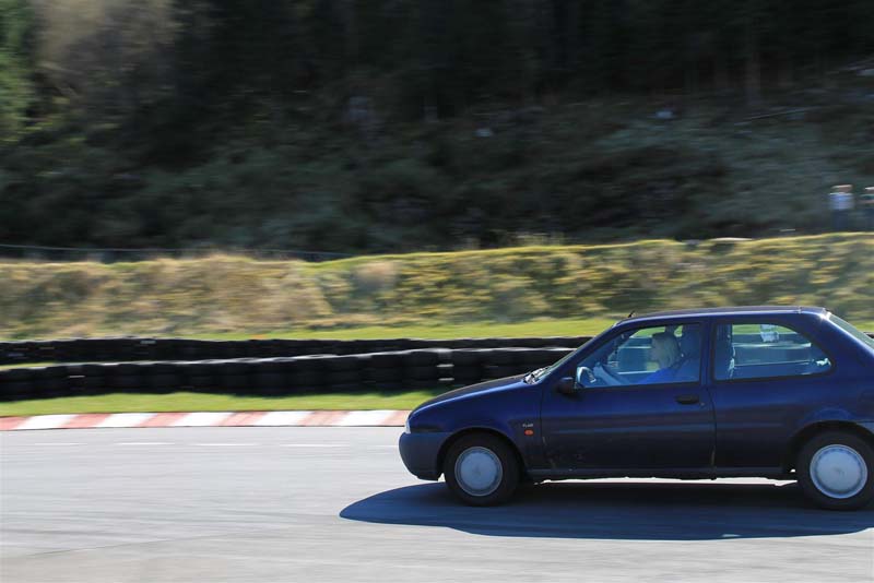 IMG_1066 (Large)