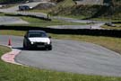 IMG_6304 (Large)