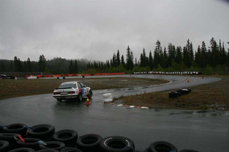 IMG_6559 (Large)
