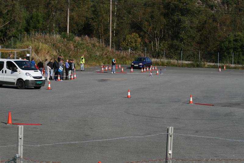 IMG_7366 (Large)