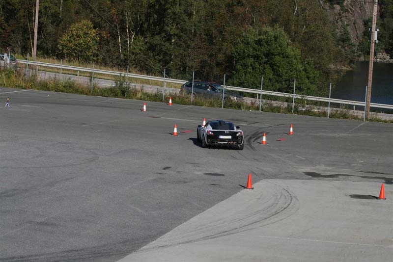 IMG_7411 (Large)