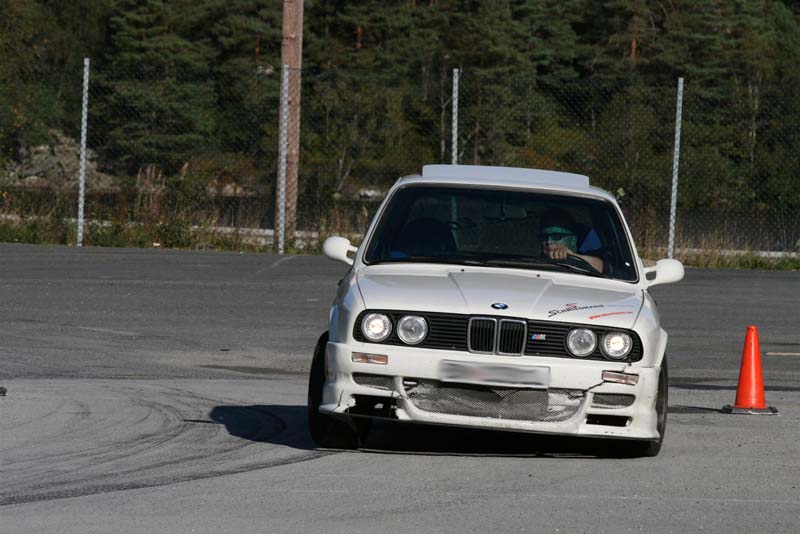 IMG_7439 (Large)